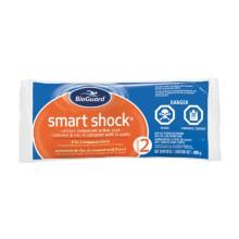 SMART SHOCK 40 X 400G - SINGLE BAG