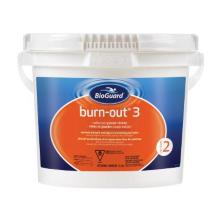 Burnou®t 3