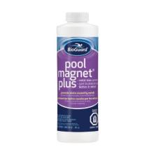 1L Pool Magnet