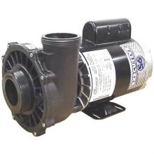 PUMP, 2HP 56FR 2 SPD 2 INCH 230V