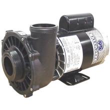 3HP 230V 56FR WATERWAYS EXECTUIVE PUMP  2.5X2