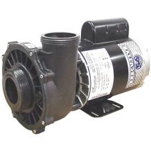 PUMP, 3HP 56FR 2 SPD 2-1/2 INCH 230V