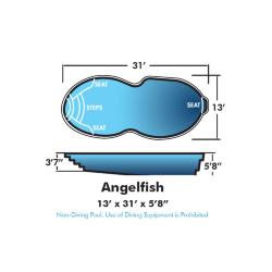 Angelfish 13 x 31