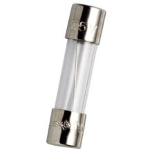 Fuse 0.3A fuse 250v Fast acting