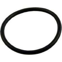 1 Union O-Ring