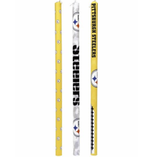 STEELERS POOL NOODLE