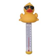Pool & Spa Thermometer