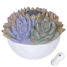 Despensers & Thermometers Game Floater Succulent Solar Light up (9116)