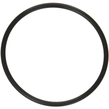 HAYWARD O-RING