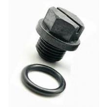 DRAIN PLUG W/GASKET