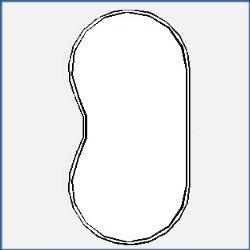 Kidney - SBC