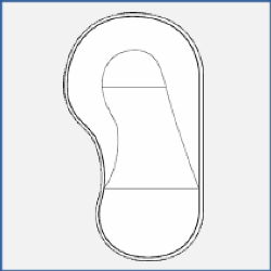 Kidney Str. Back Kidney Str. Back