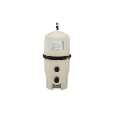 FNS Plus 60 Sq Ft D.E. Filter
