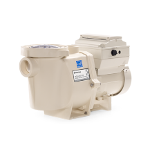 Intelliflo VSF Pump