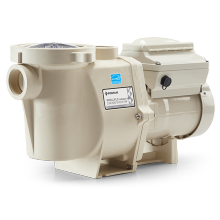 Pool Pumps Pentair INTELLIFLO® VARIABLE SPEED® (011018)