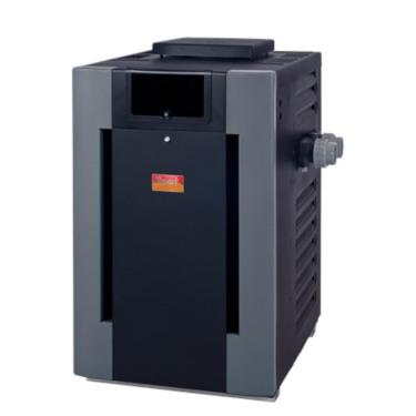 RAYPAK 266 BTU DIGITAL N/G