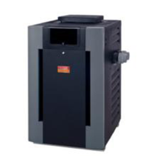 RayPak Cupro-Nickel Heater<br>Propane R266A 0-2000