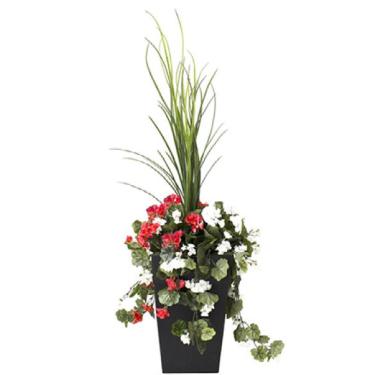 Dracaena and Red & White Geranium Potted Floral Arrangement
