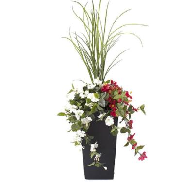 Dracaena and Red & White Hibiscus Potted Floral Arrangement