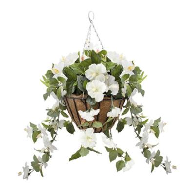 Hanging Basket with White Hibiscus Flowers