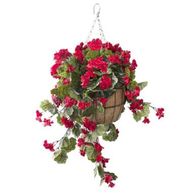 Hanging Basket with Red Geraniums