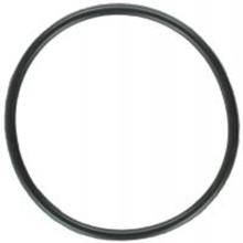 LM Series Salt Cell Union O-ring Replacement
